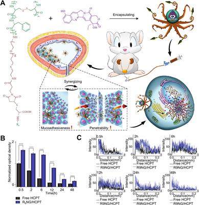 Hydrogel-based formulations for urothelial cancer therapy